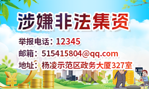 涉嫌非法集资